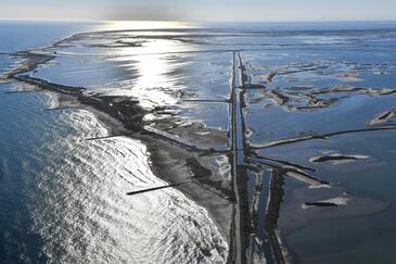 Camargue, France © Etienne Pierart